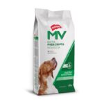 MV GASTROINTESTINAL HOLLIDAY